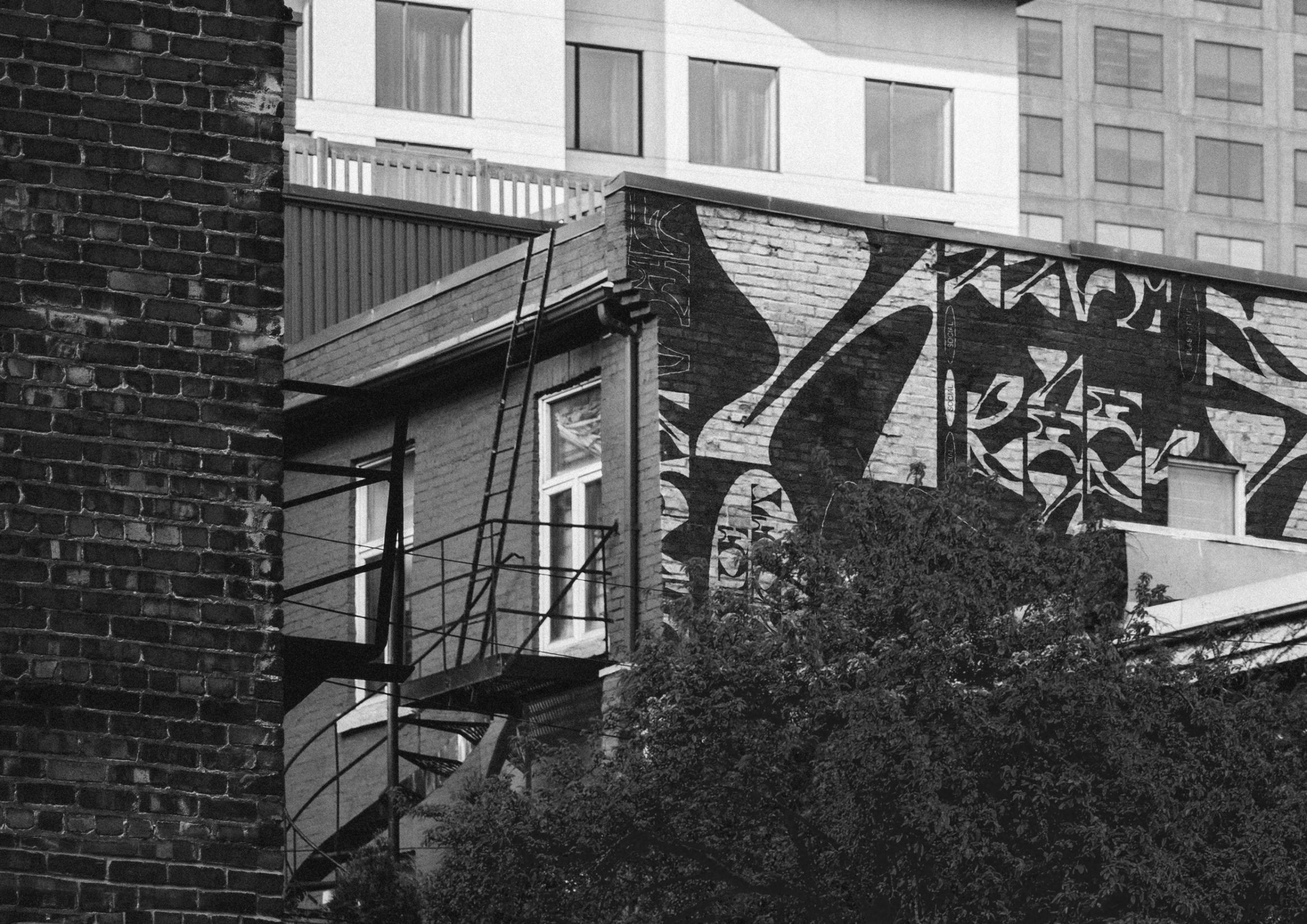 Daniel Angermann – Neue Schrift – Urban | Haus | Schrift | Wand | Mural Urban | Haus | Schrift | Wand | Mural