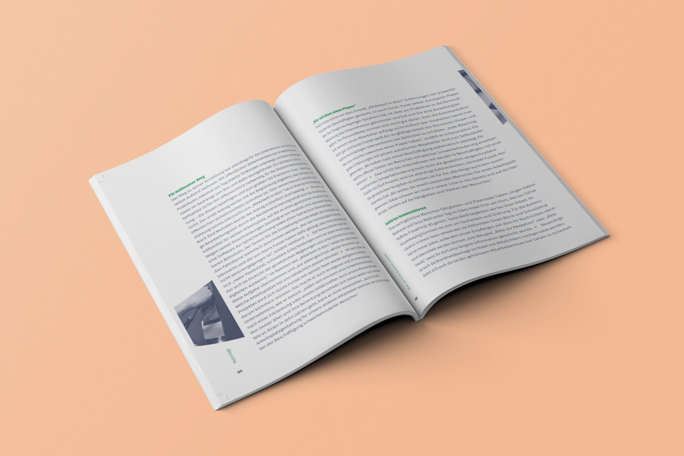 Broschüre | Fließtext | Doppelseite | Massentext
